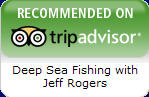 Deep Sea Fishing with Capt. Jeff Rogers