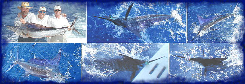 5 striped marlin and a spearfish