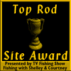 website award